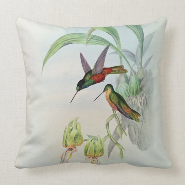 Bonaparte's Star Fronted Hummingbird (coloured lit Throw Pillows