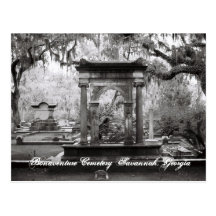 Bonaventure Cemetery Savannah Postcard
