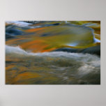 Bond Falls Poster