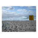 Bondi Beach - No Lifeguard posters