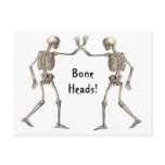 Bone Heads Skeletons Postcard