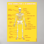Bone Names for 3-D Animators posters