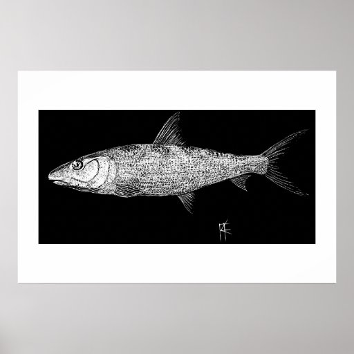 Bonefish Scratch art Print