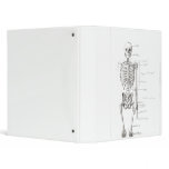 Bones binders