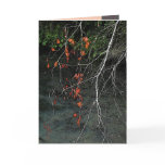 Bones n Blood Card