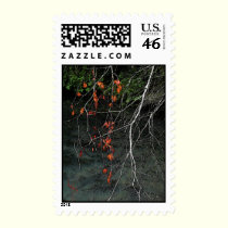 Bones n Blood stamps