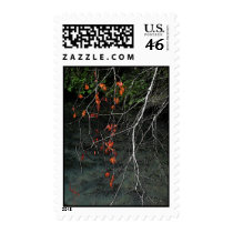 Bones n Blood Postage