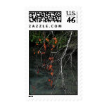 Bones n Blood postage