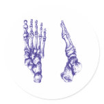 Bones of the feet - blue sticker