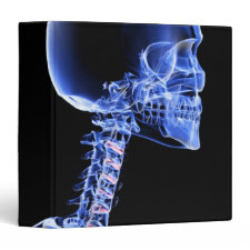 Bones of the Head and Neck 3 Ring Binder