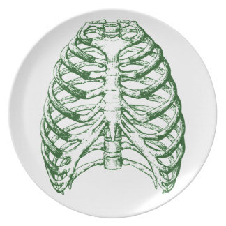 Anatomy Plates | Zazzle