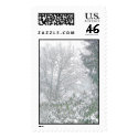 Bones of Winter postage by despking Bones of Winter postage