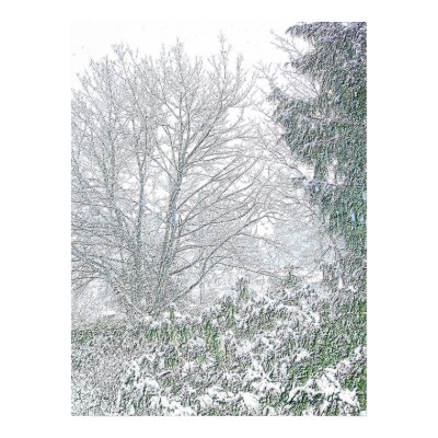 Bones of Winter Posters by despking