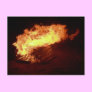 Bonfire