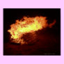Bonfire