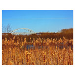 Bong Bridge from below Flyer Design