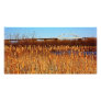 Bong Bridge from Grassy Point Photo Card Template