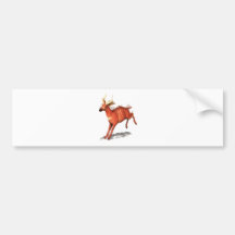 Bongo Antelope Bumper Stickers