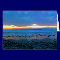 Bongo's Beach January 22, 2012 Card cards