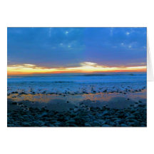 Bongo's Beach January 22, 2012 Card