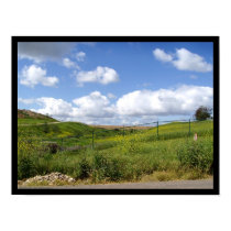Bonita Field 2 posters