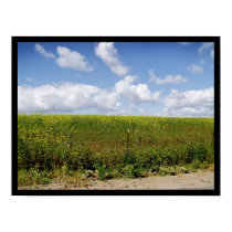 Bonita Field posters