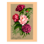 "Bonne Fete" Vintage French Christmas Postcards