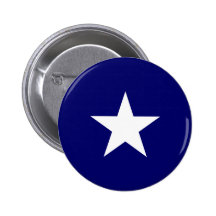 Bonnie Blue Buttons