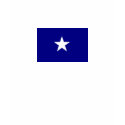 Bonnie Blue flag Ladies Tee t-shirts