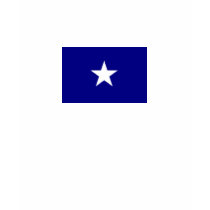 Bonnie Blue flag Ladies Tee t-shirts by chansen69 Bonnie Blue flag Ladies Tee t-shirts