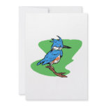 Bonnie Blue Jay Announcements
