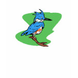Bonnie Blue Jay T Shirts