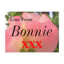 Bonnie postcards