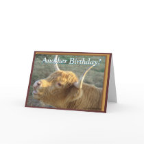 BonnieG- Birthday-customize Cards