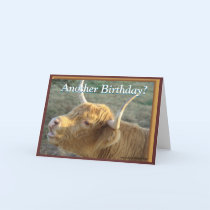 BonnieG- Birthday-customize cards by MakaraPhotos BonnieG- Birthday-customize cards