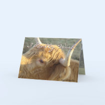 BonnieG-Get Well-customize cards by MakaraPhotos BonnieG-Get Well-customize cards