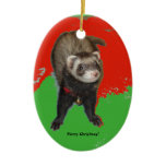Bonnie's Merry Christmas Ornament
