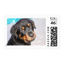 Bonnie's Portrait Postage