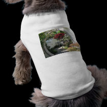 Bonsai Arch - National Arboretum, Washington D.C. pet clothing