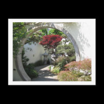 Bonsai Arch - National Arboretum, Washington D.C. postcards