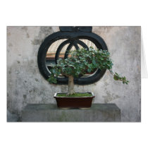 Bonsai at The Lin Family Mansion and Garden,Taipei cards