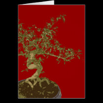 Bonsai cards