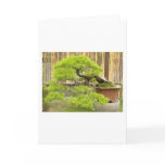 Bonsai/Chinese Potted Landscape Card
