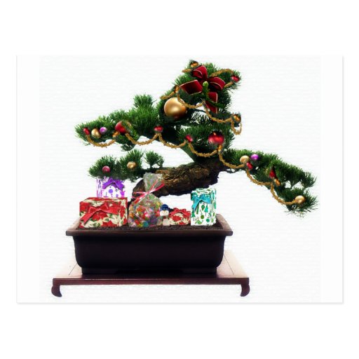 bonsai christmas tree postcard zazzle bonsai christmas tree postcard zazzle