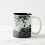 Bonsai Cliff mugs