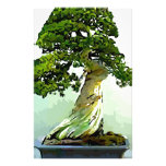 Bonsai Cypress Tree Custom Stationery