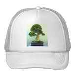 Bonsai Cypress Tree Hat