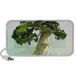 Bonsai Cypress Tree PC Speakers