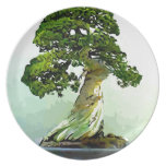 Bonsai Cypress Tree Plates