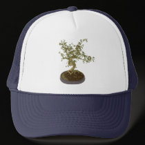 Bonsai hats